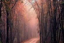 天涯论坛的别墅装修秘籍：那些你绝对不能错过的神贴！