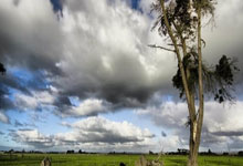 天涯论坛的别墅装修秘籍：那些你绝对不能错过的神贴！