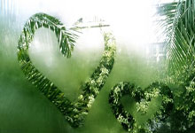 天涯论坛的神秘任务兼职，真的在赚钱吗？